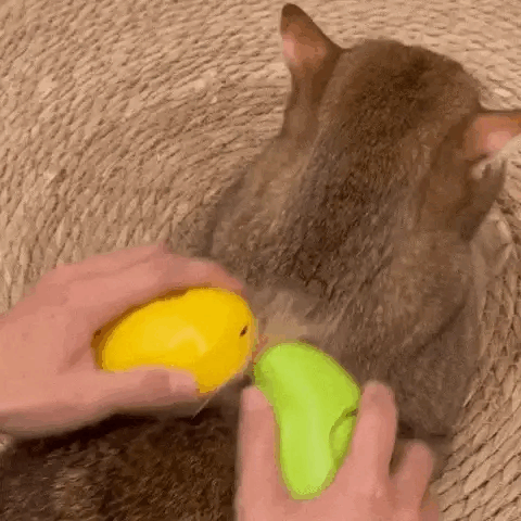 Cepillo Masajeador Quita Pelos JL02